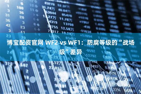 博宝配资官网 WF2 vs WF1：防腐等级的“战场级”差异