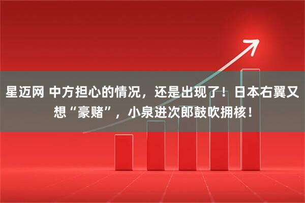 星迈网 中方担心的情况，还是出现了！日本右翼又想“豪赌”，小泉进次郎鼓吹拥核！