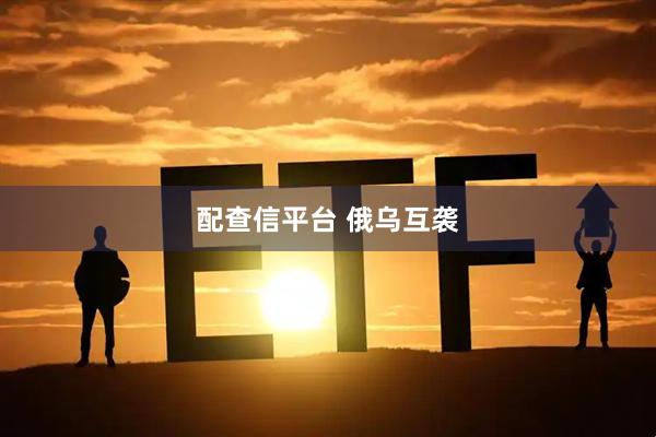 配查信平台 俄乌互袭